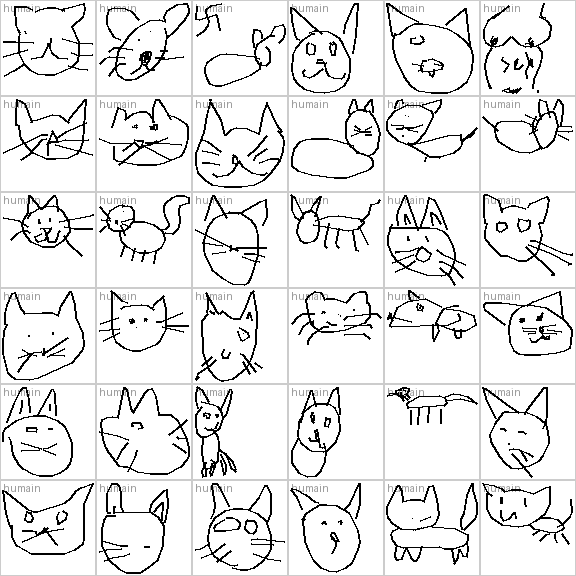 36 chats humains du dataset