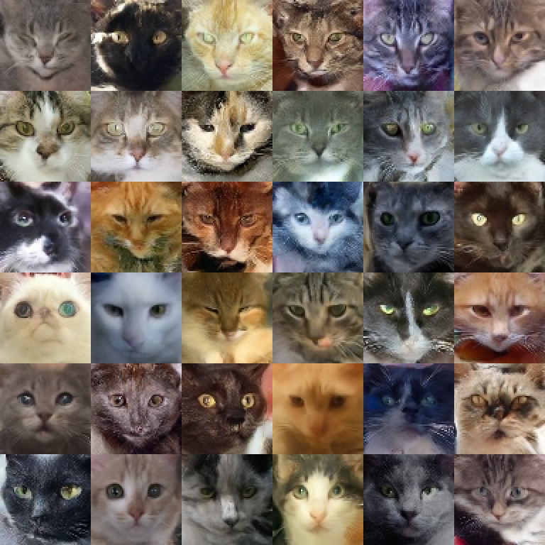 36 chats générés en DDIM 50 pas