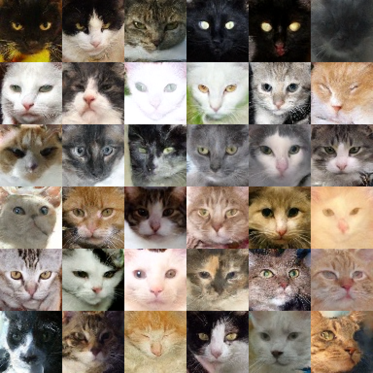 6 rangées de chats, une couleur commandée par rangée
